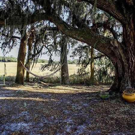 Secluded Tiny House By The Marsh With Hunting Island Beach Pass Frogmore المظهر الخارجي الصورة