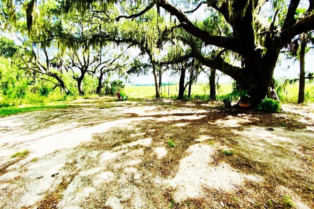 Secluded Tiny House By The Marsh With Hunting Island Beach Pass Frogmore المظهر الخارجي الصورة