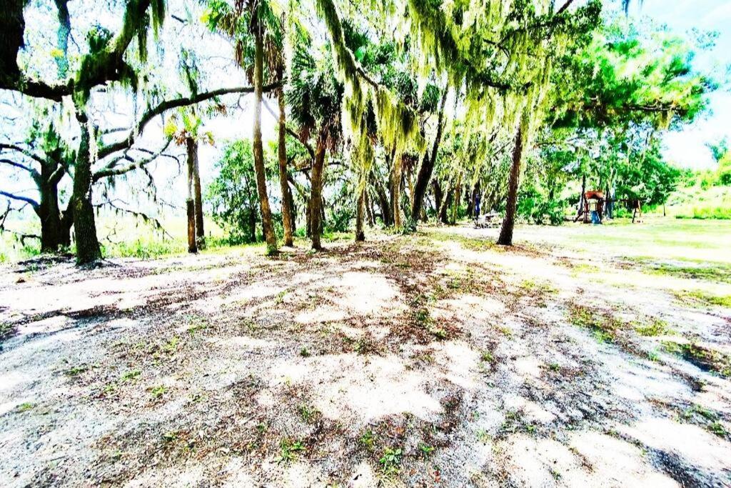 Secluded Tiny House By The Marsh With Hunting Island Beach Pass Frogmore المظهر الخارجي الصورة