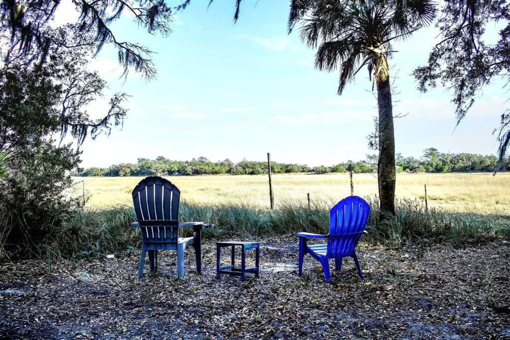 Secluded Tiny House By The Marsh With Hunting Island Beach Pass Frogmore المظهر الخارجي الصورة